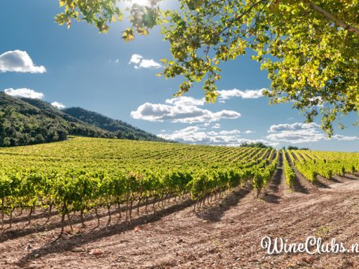 Cooper's Hawk Wine Prices