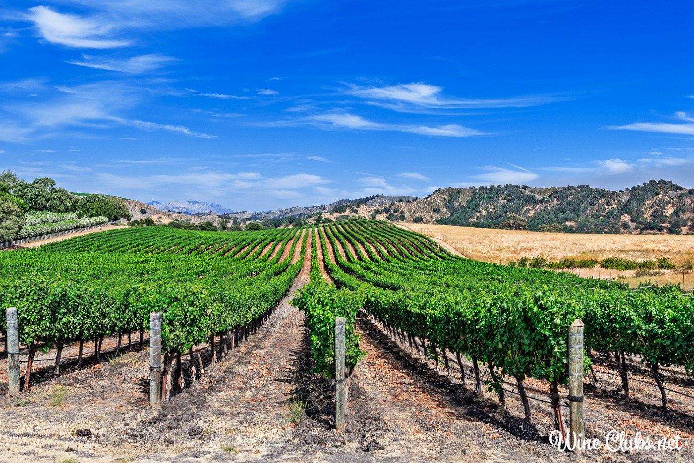 best california wine clubs