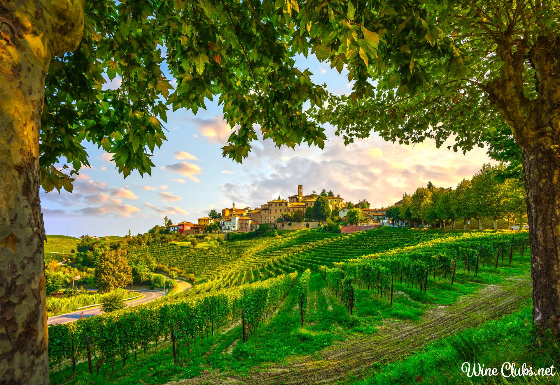 best french wine clubs