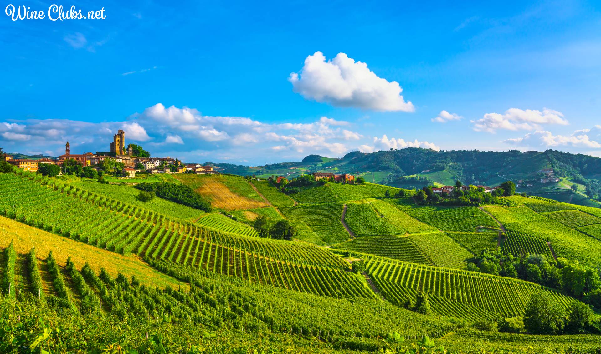 best international wine clubs