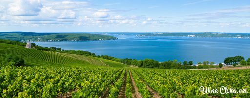 finger lakes wine country