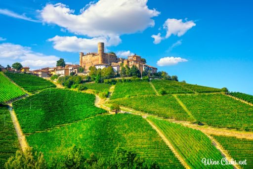 italian wine club reviews