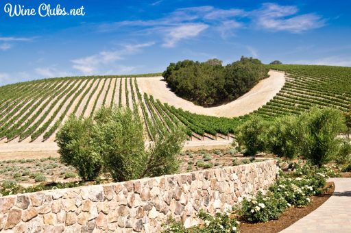 paso robles wine country