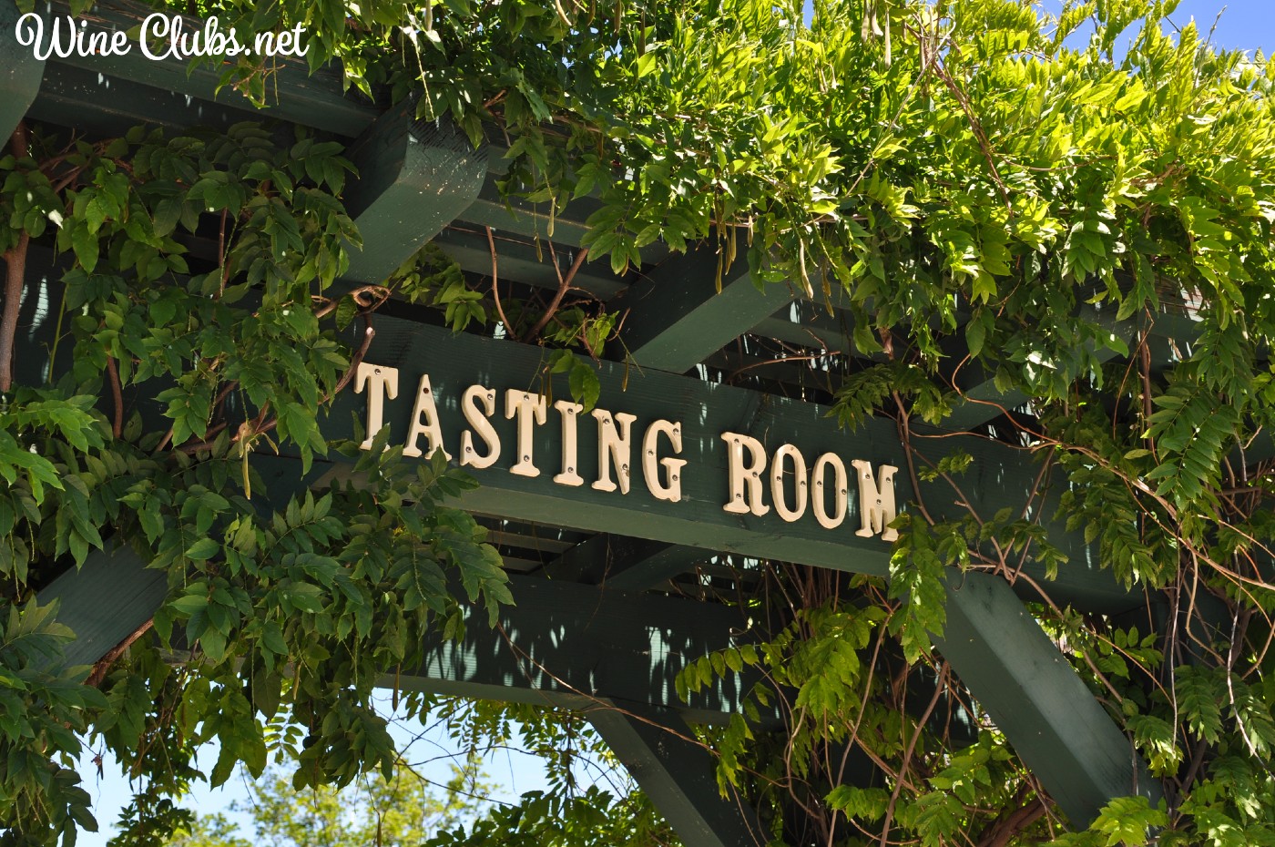 paso robles wine tasting