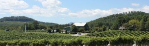green creek winery north carolina