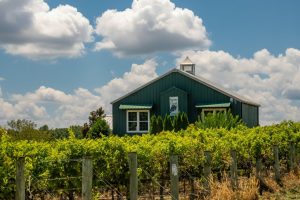 winery green creek