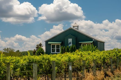 Green Creek Winery vineyards