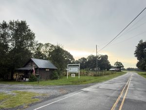 native son vineyard - wine cabin street